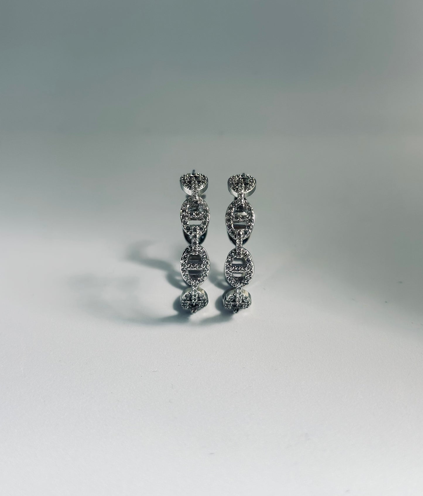 Hoop Zircon earrings (Hermes) style
