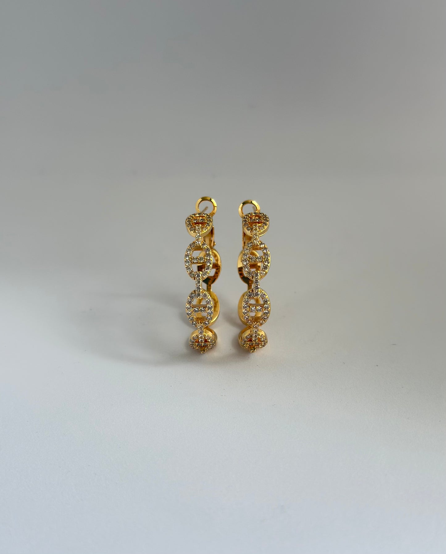 Hoop Zircon earrings (Hermes) style