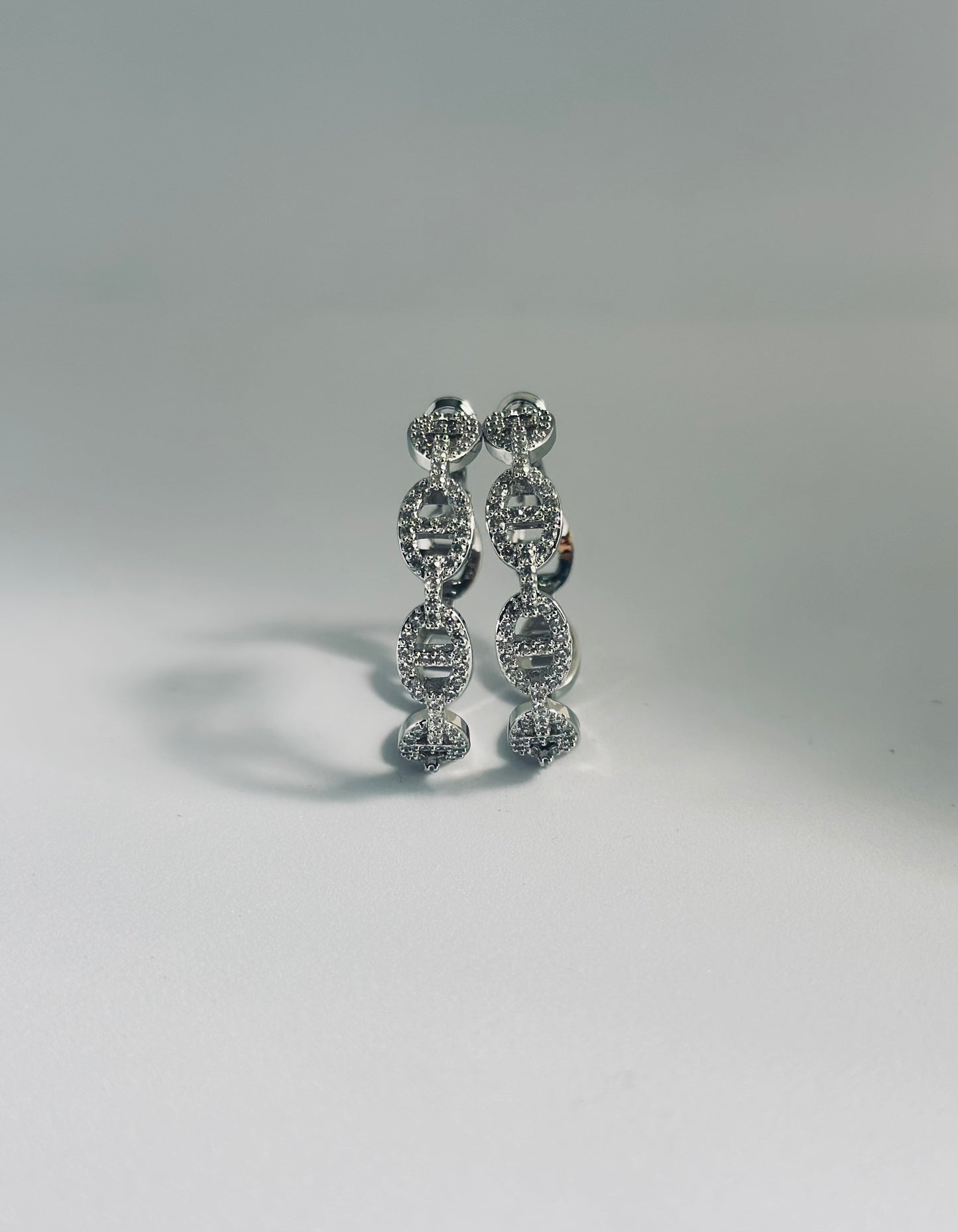 Hoop Zircon earrings (Hermes) style